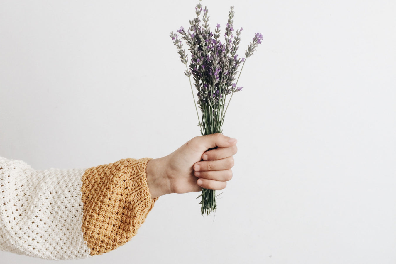 Lavendel in der Hand