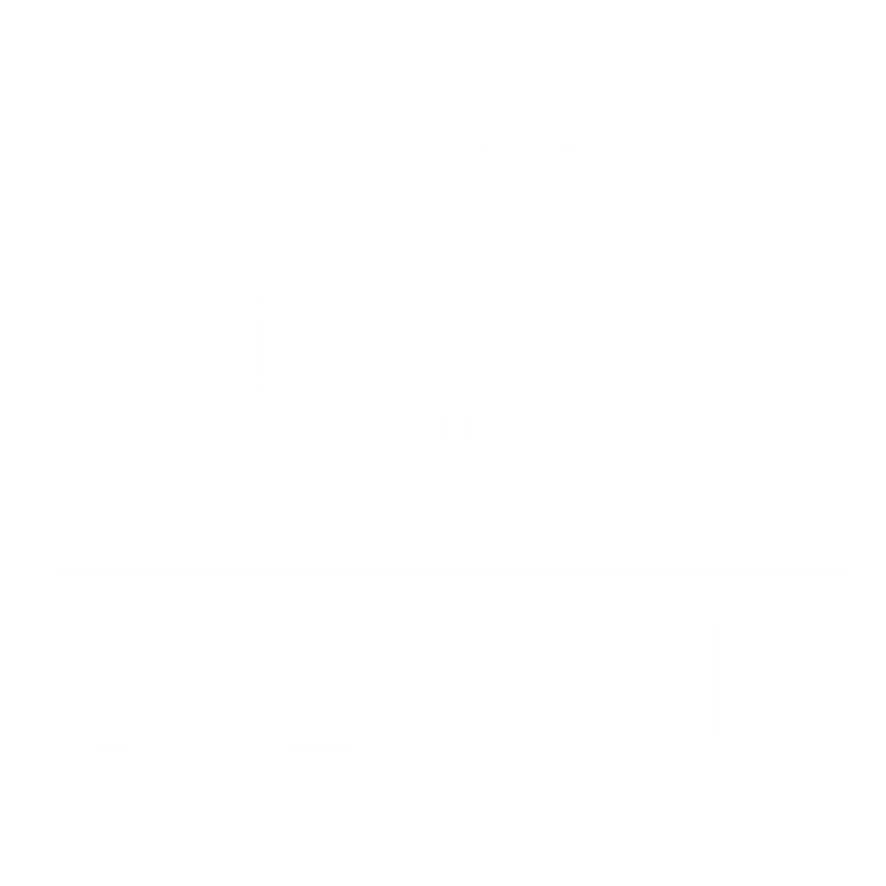 Logo DIE ÖKIS